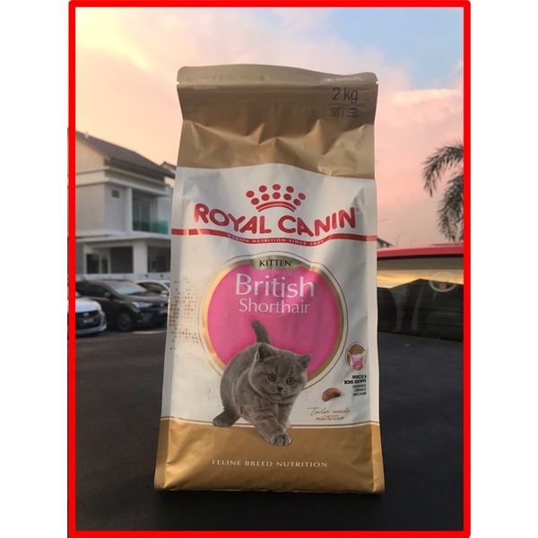 Royal Canin BSH kitten 2kg u0026 Vitamin Kucing Gemuk