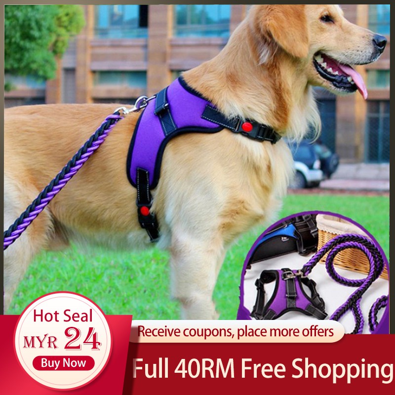 dog harness and leash set