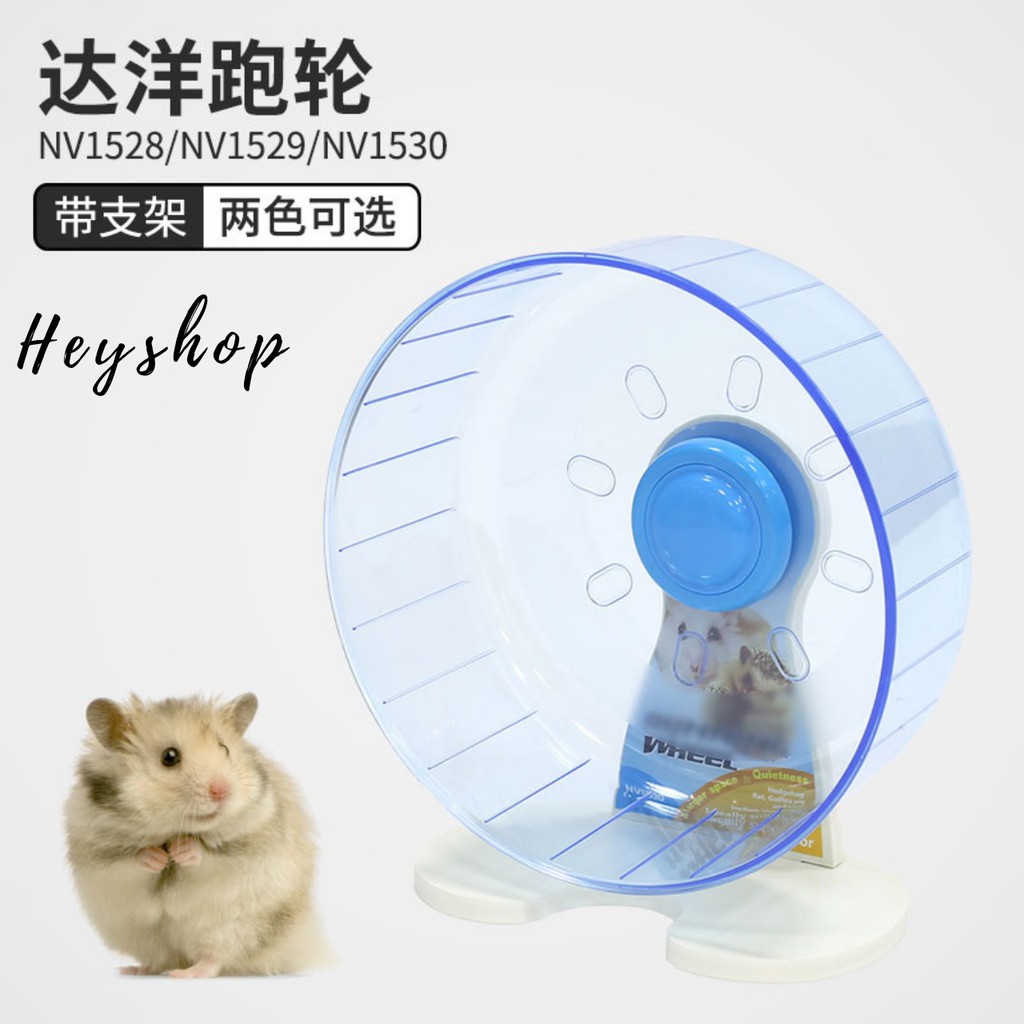 guinea pig running wheel