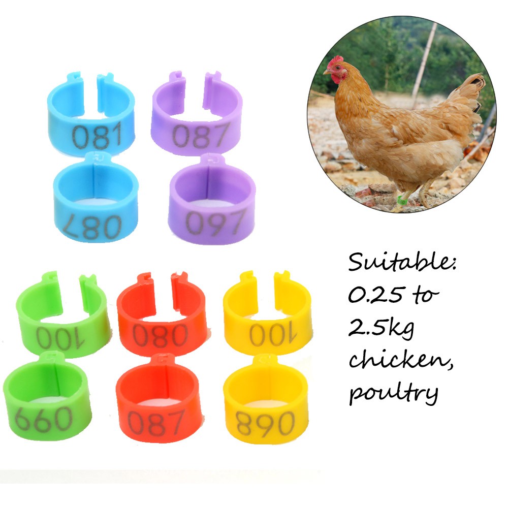 100pcs or 50 pcs/bag Foot Clip Rings Inner Diameter 16mm Farm Supplies Leg Bands Rings 6 Colors Goose Chicken Plastic 001-100 Numbered Ducks Bird Appliances/Multicolor