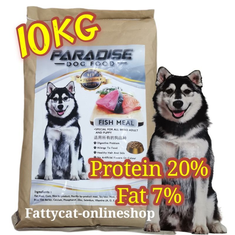 is-fish-meal-good-for-dogs