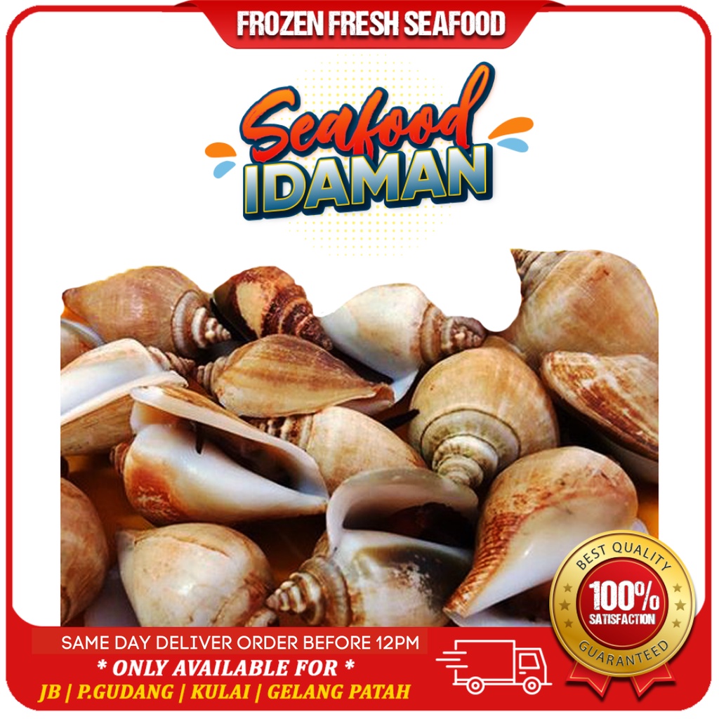 [PREMIUM QUALITY] Siput Gonggong / Sea Snail | 1kg [ Johor Bahru Delivery Only]