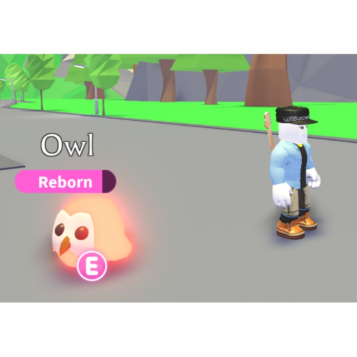 Roblox Adopt Me Legendary Pet Neon Fly Ride Nfr Owl Shopee Malaysia - owl roblox adopt me
