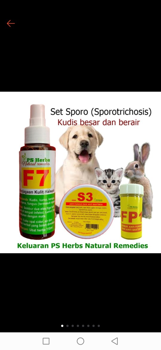 Set Rawatan Kucing Sporo dari PS Herbs. (Spray F7 100ml 