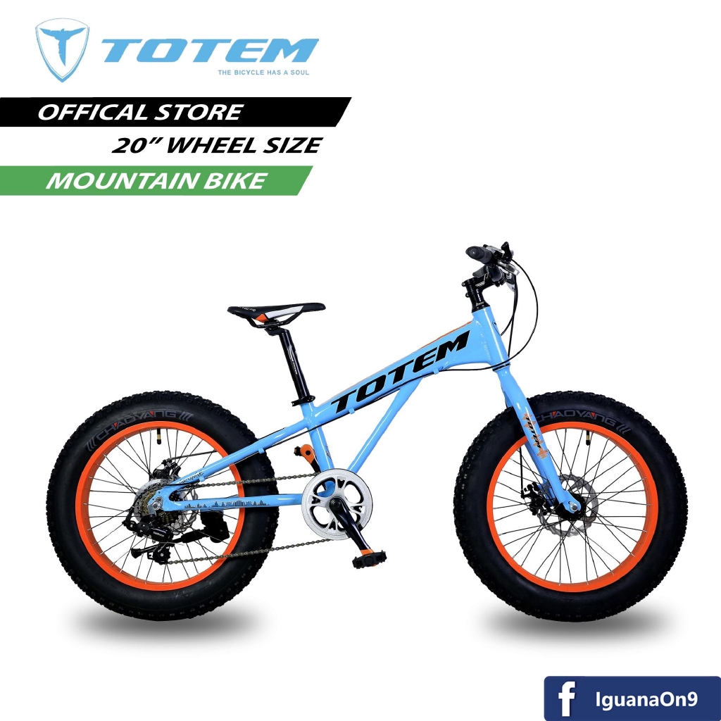 totem 20 inch bike