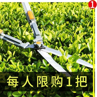 Garden Shears园艺剪刀园艺大剪刀园林花剪修花修枝剪花木剪草修草坪绿篱剪强力修剪树枝 Shopee Malaysia