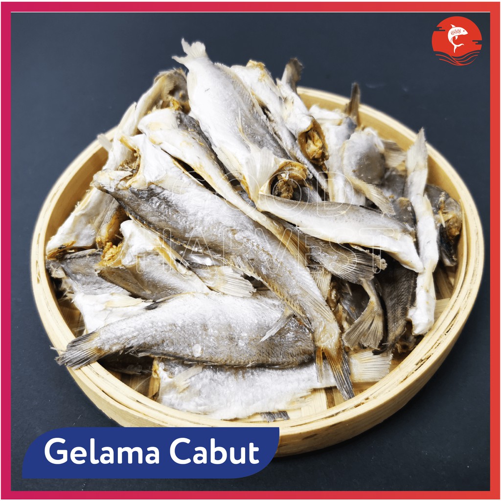 Ikan Masin Gelama Tanpa Kepala (Gelama Cabut) 400 GRAMS ...