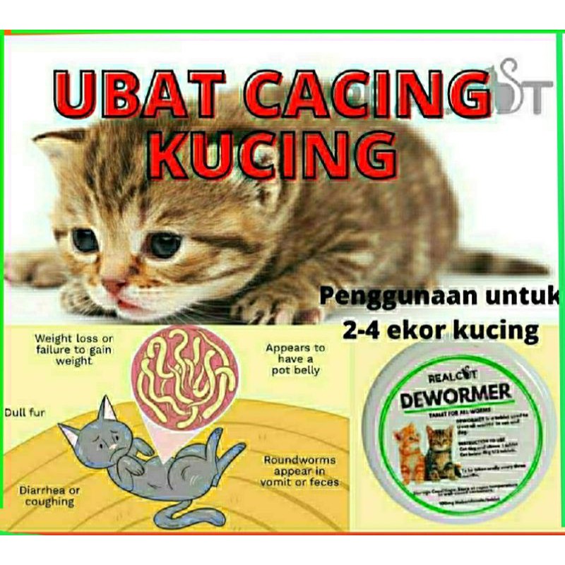 UBAT CACING DEWORM CAT KUCING DEWASA UNTUK 24 EKOR KUCING (2 tablet