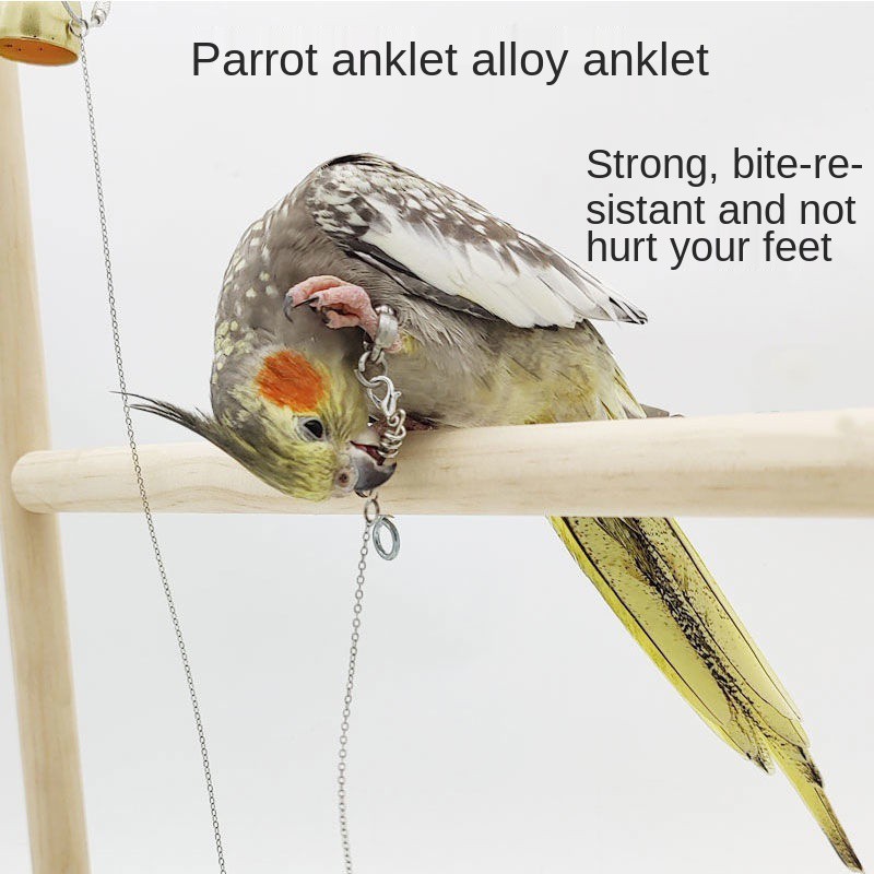 Quality Reliable Parrot foot chain bird ring tiger skin black phoenix peony traction rope flying stand suppliesRantai... - Image 5