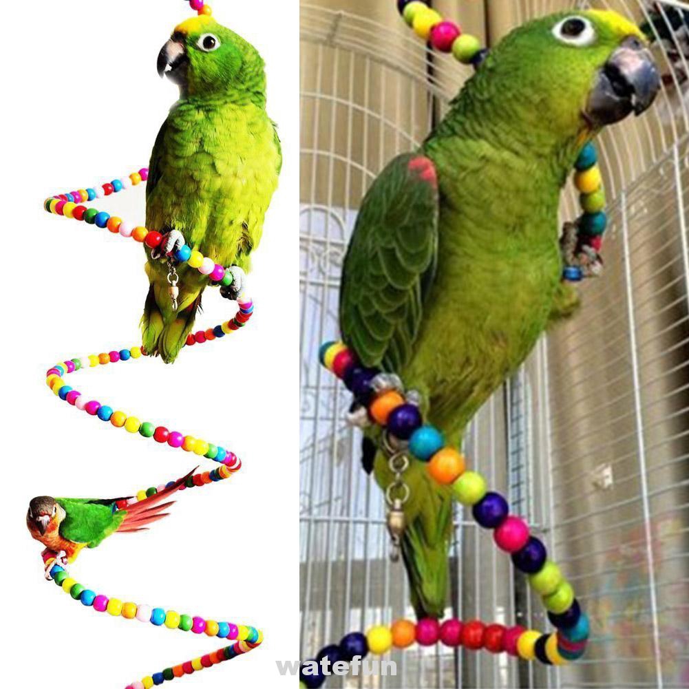 parrot hamster wheel