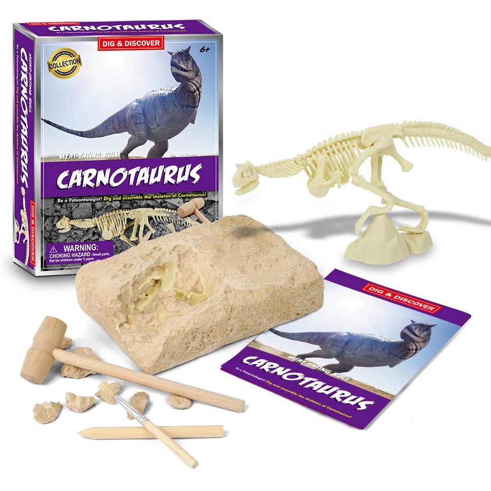 dinosaur excavation kit diy