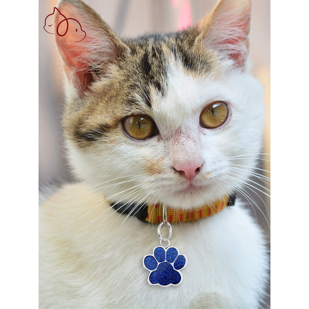 Versatile Purpose Personalized Dog Tag Address Tags Dogs Collar Id Custom Engraved Cat Name Pet - Image 5