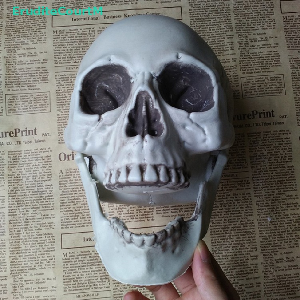 [EruditeCourtM] Halloween Artificial Skull Head Model Skull Bone Scary Horror Skeleton Ornament [NEW]