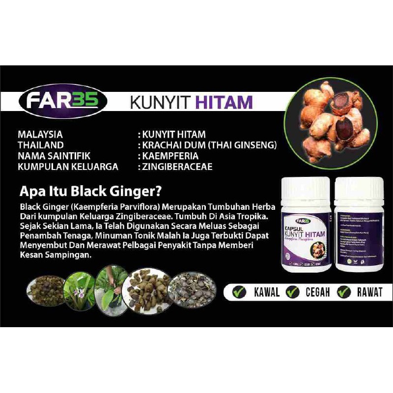 Kunyit Hitam Hq 100 Original Shopee Malaysia