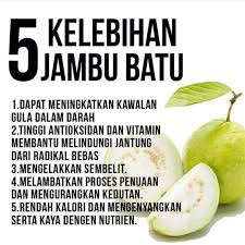 Khasiat Buah Jambu Batu - englshmida