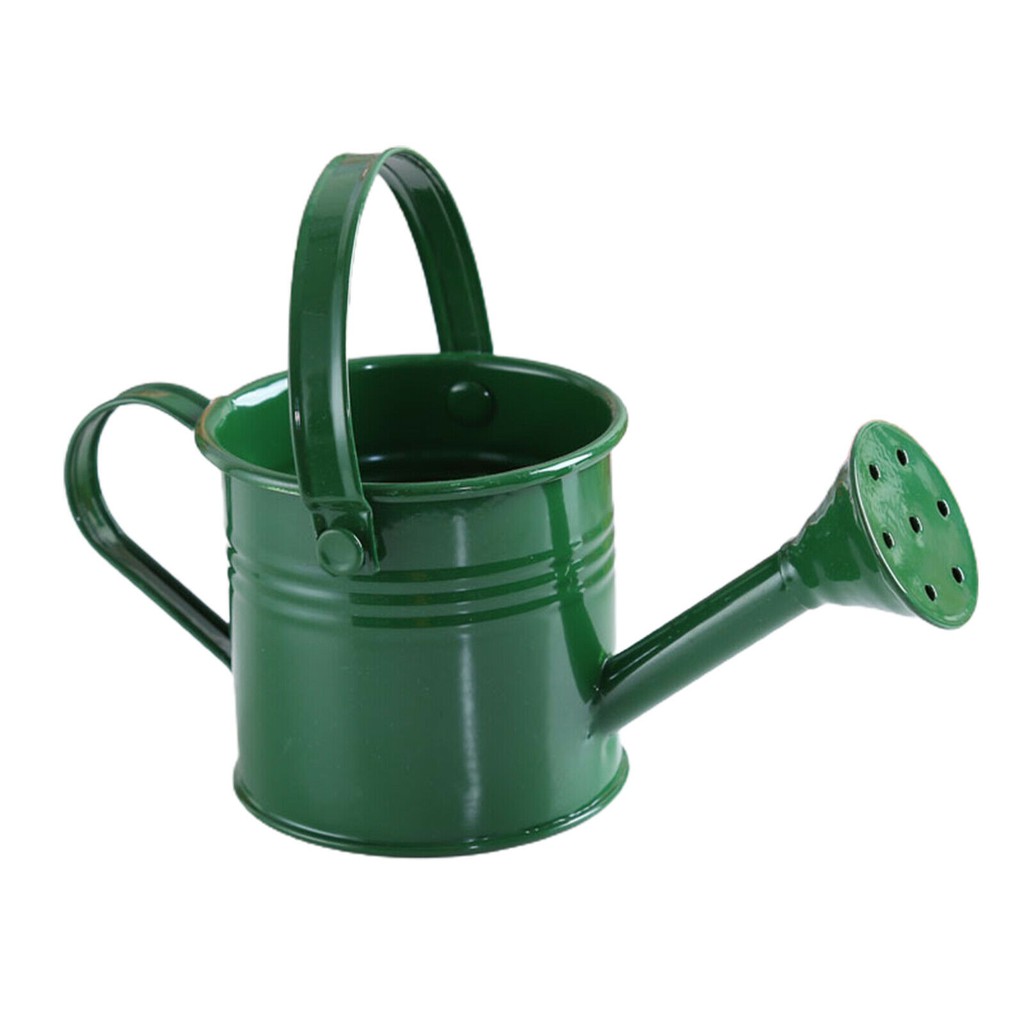 Mini Metal Small Water Spraying Pot Garden Flower Kettle Watering Can Sprinkled