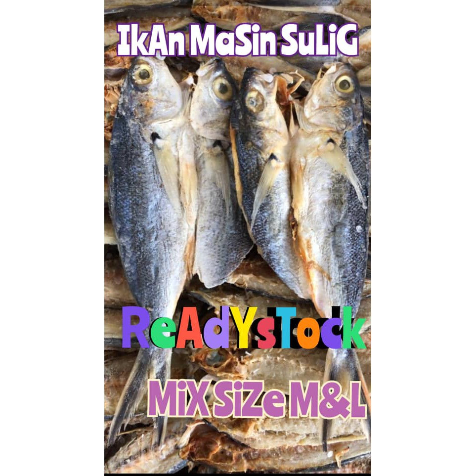 Readystok Ikan Masin Sulig Sabah Shopee Malaysia