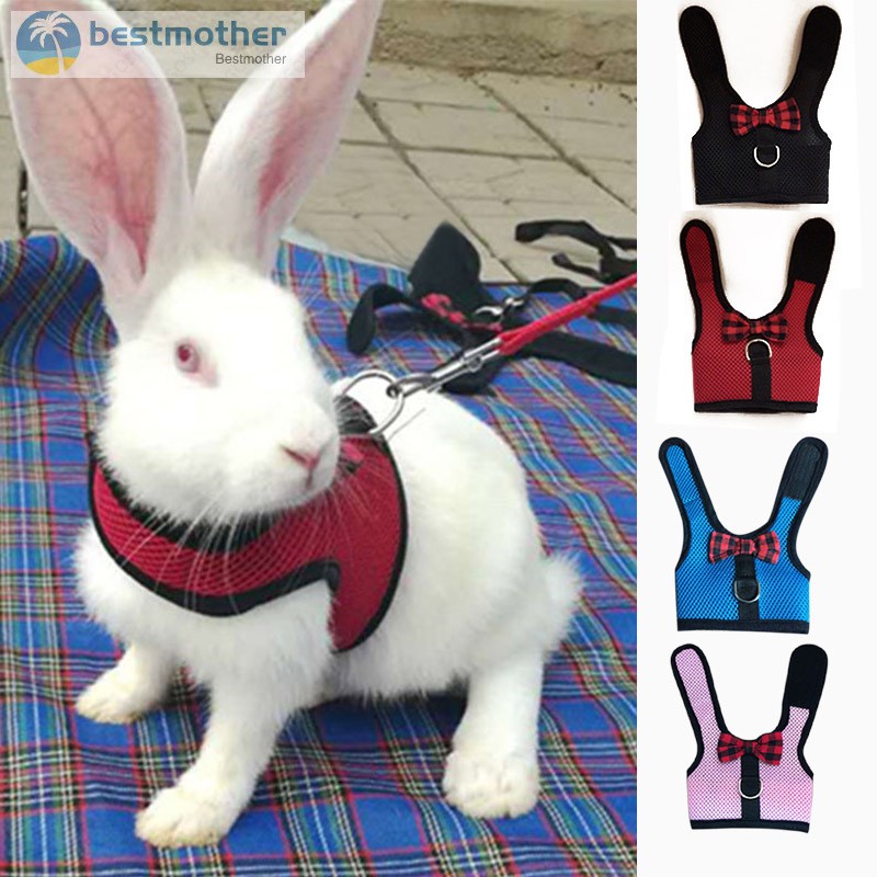 pets at home rabbit harness