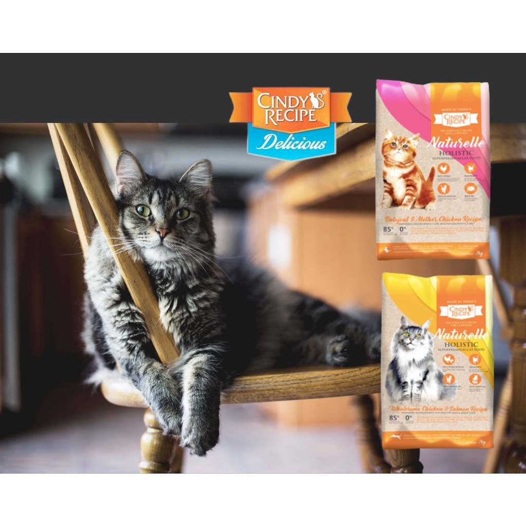Cindy Recipe Naturelle Holistic Superpremium Cat Food 300g (2 Flavors), Mother & Babyca…