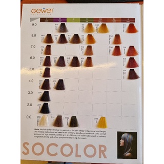 Hair dye(2)So Gewei/Chunrou Hair Color Cream 100ml (BUY 9 FREE 1) | Shopee  Malaysia