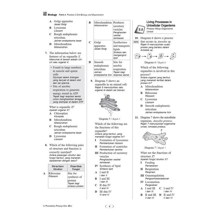 Buy ^ Pelangi 2021 Latihan Praktis Hebat Biologi Biology Tingkatan