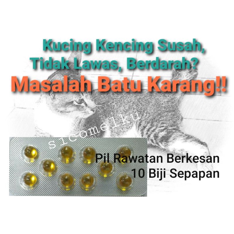 Ubat Merawat Batu Karang Dan Lawas Kencing untuk Kucing  Shopee 