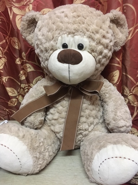 teddy bear kaison