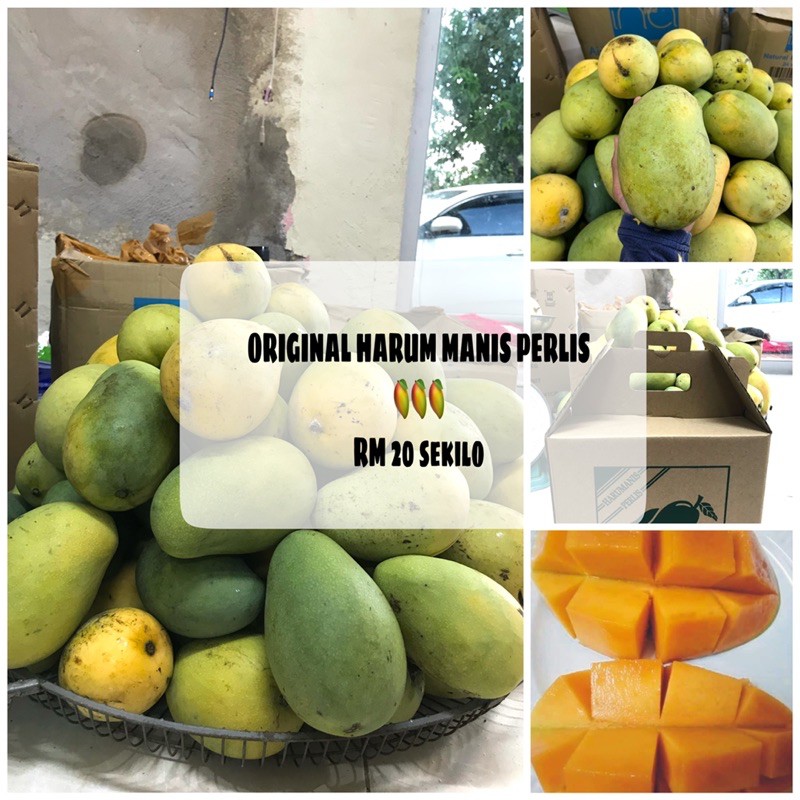 Harga harum manis perlis