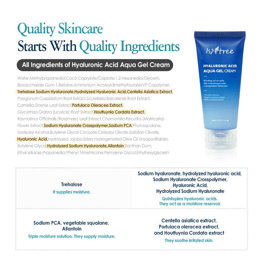 isntree hyaluronic acid aqua gel cream 100ml