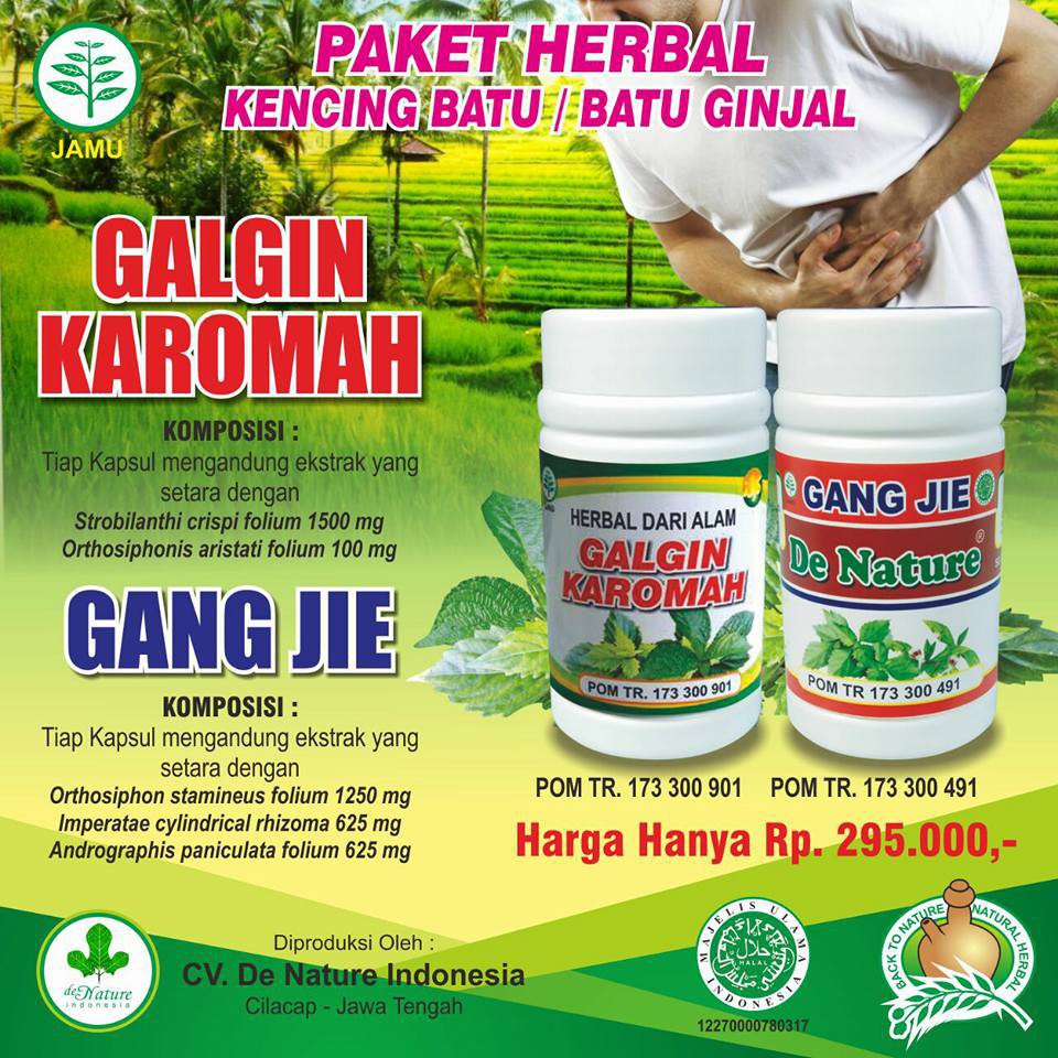 Herbal Medicine For Stones Kidney Stones Stones Pee Urinals Original De Nature Shopee Malaysia