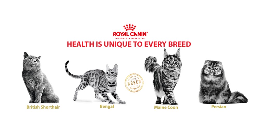 EZ CAT SHOP, Online Shop Shopee Malaysia