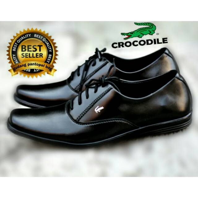 office shoes lacoste