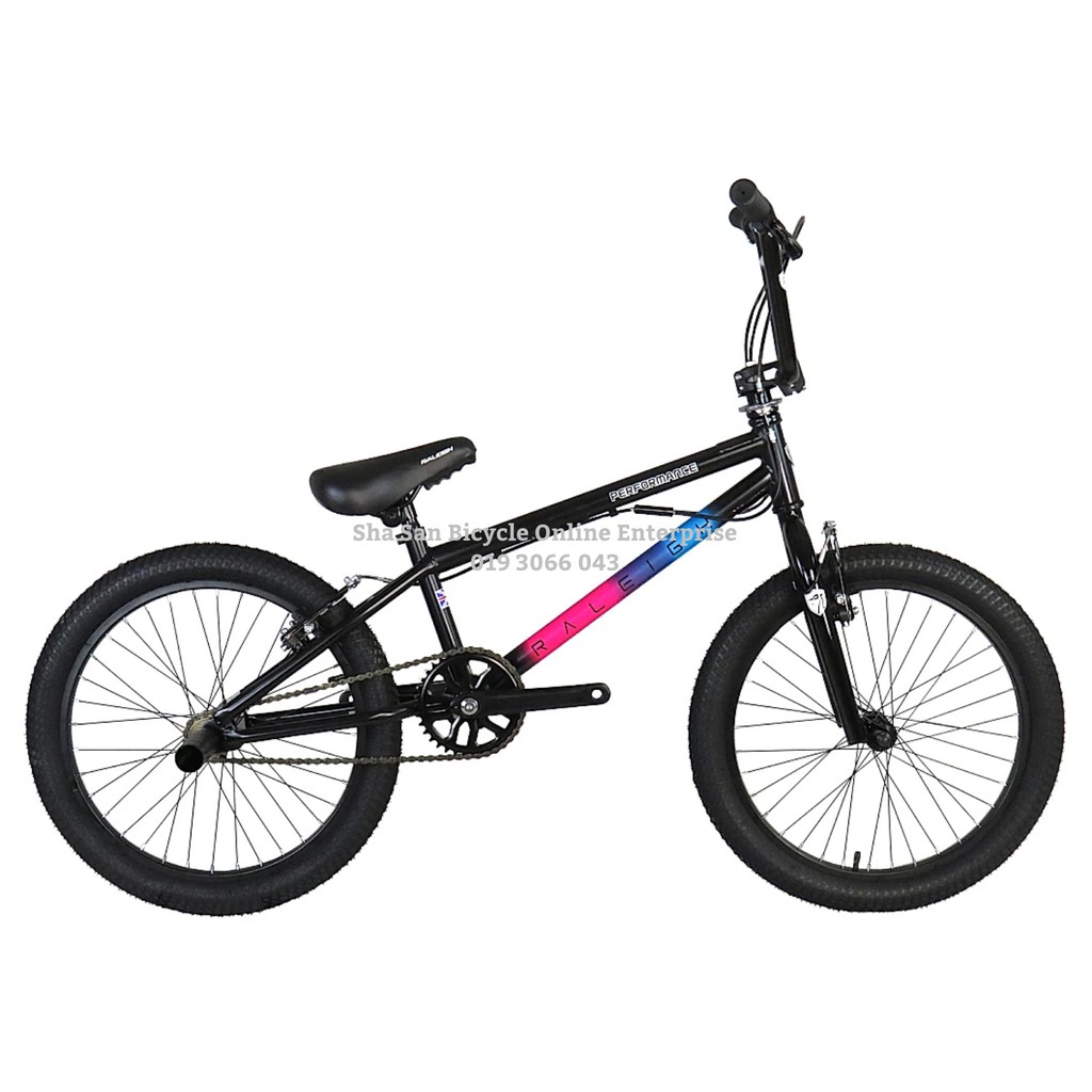 raleigh performance 20