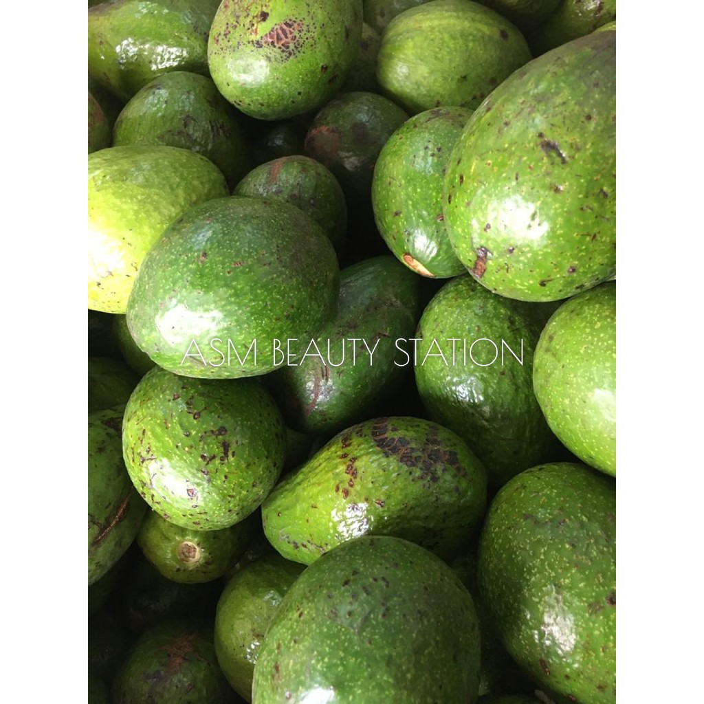 AVOCADO MENTEGA INDONESIA - 1KG