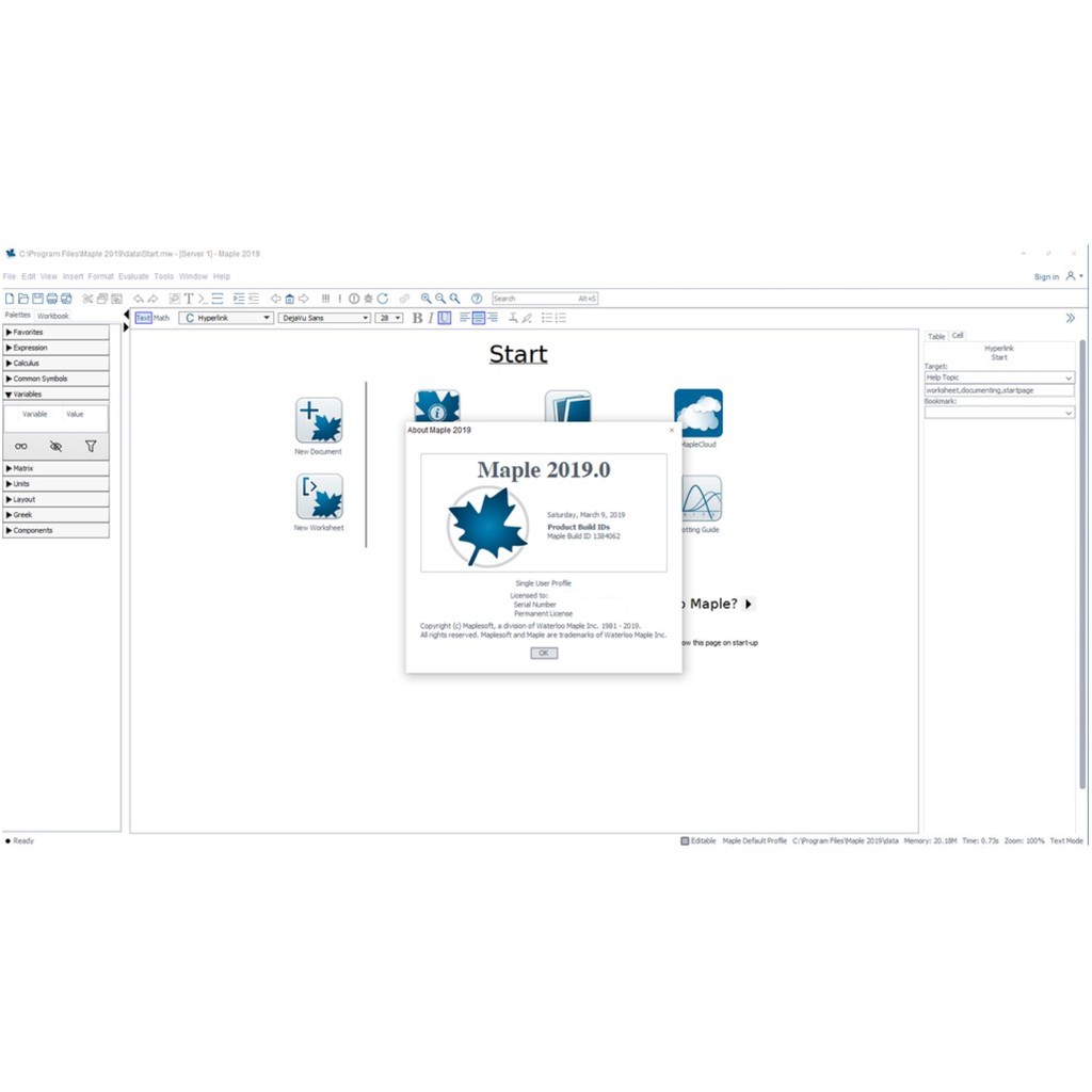 Maplesoft maple 2018