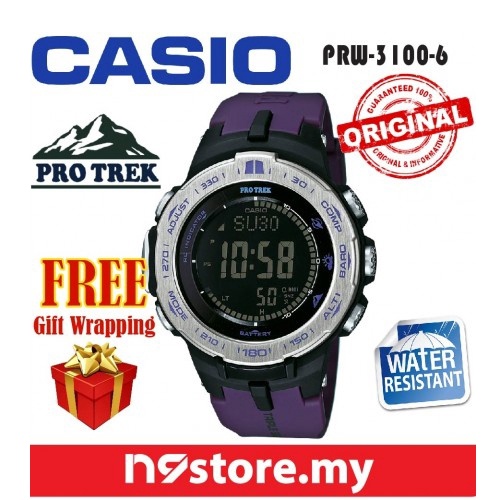 casio 3100