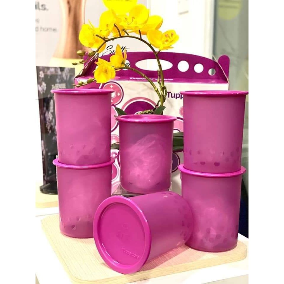 Tupperware Camellia One Touch Gift Set (6) 1.25L