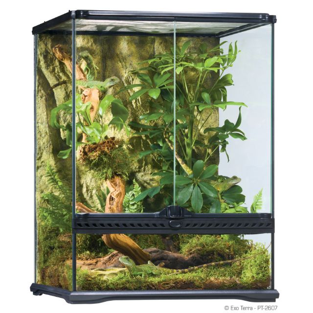 Exo Terra Glass Terrarium Small Tall 45x45x60cm PT2607 Reptile tank