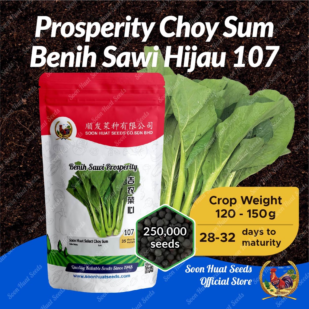 Benih Prosperity Choy Sum 107 250000 Seeds Sawi Hijau Soon Huat Seeds Shopee Malaysia