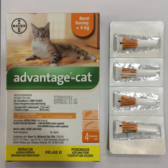 advance flea treatment for cats