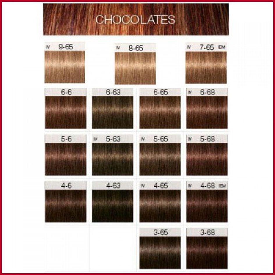 Schwarzkopf Igora Royal Color Tube 60ml Gold Chocolate Series X 4 X 42 5 5 X 55 X 6 X 65 X 68 Shopee Malaysia