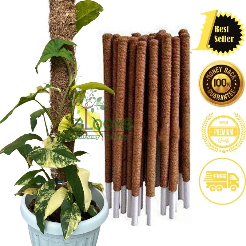 cocopeat pole