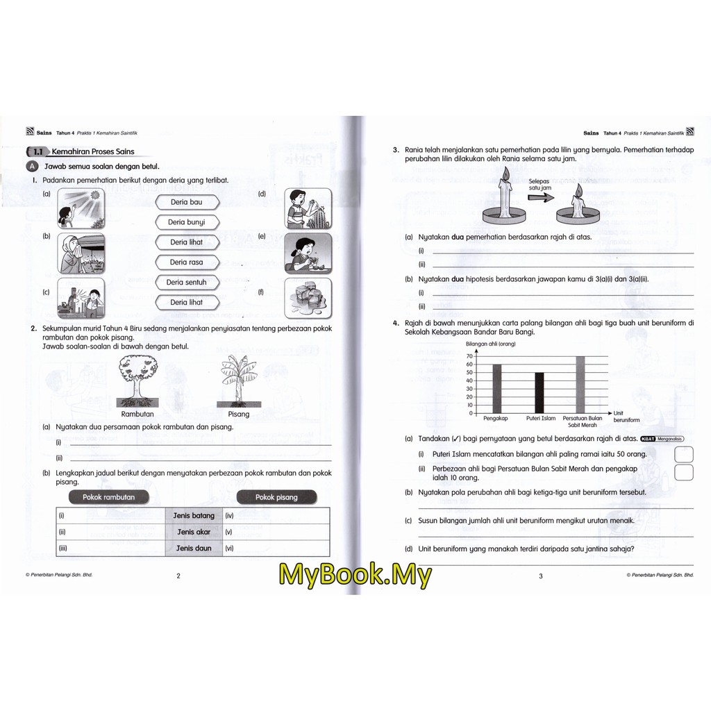 Jawapan Buku Teks Sains Tahun 4 Legsploaty 