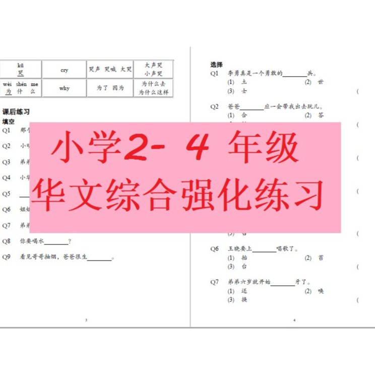 039 Hardcopy 小学2 4 年级华文综合强化练习 Shopee Malaysia