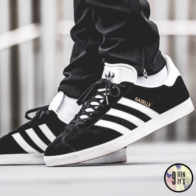 gazelle colours