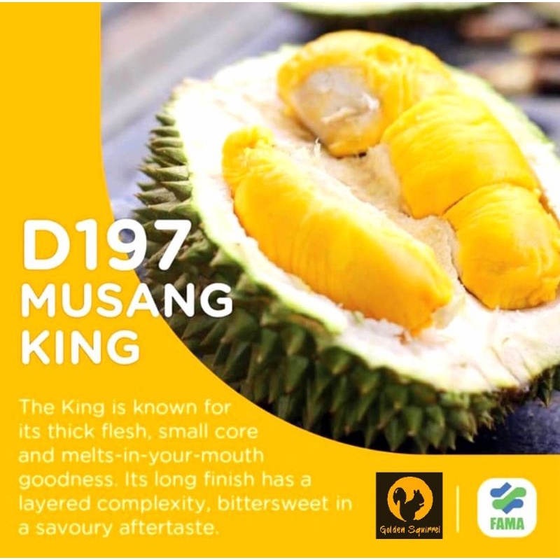 [KLANG VALLEY ONLY] MUSANG KING D197 DURIAN PULP @ ECO FARM FRESH FRUIT BUAH DURIAN FLESH BERLEMAK MANIS 榴莲 猫山王