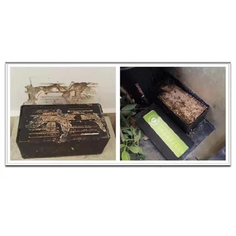 Leylor Termite Box-Indoor Inset Termite Killer Cure Weiße Ameise anziehende Box Termites Trapper 