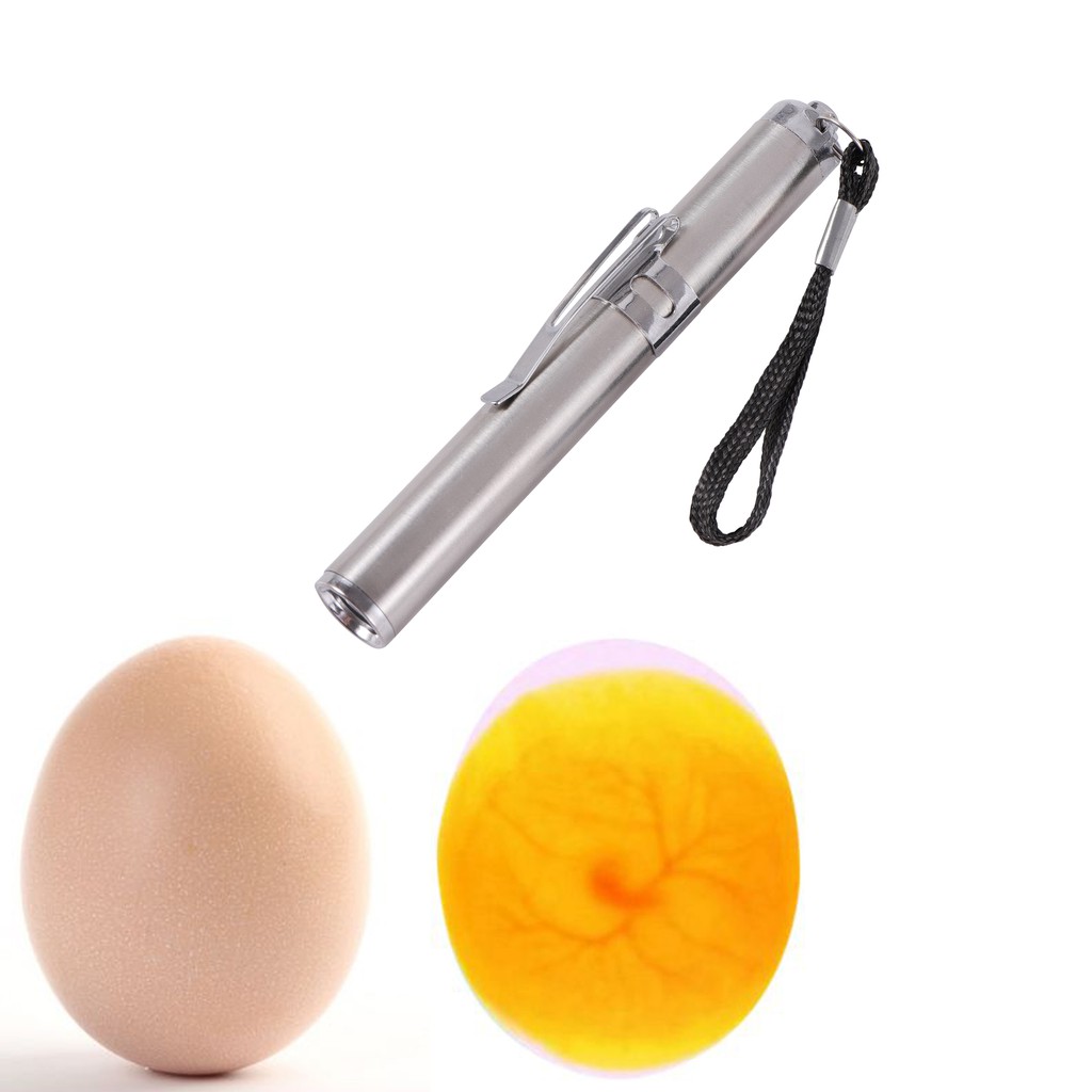 Incubator Eggtester Egg Candling Lamp LED Super Cold Equipment Stainless Steel Mini Keychain Poultry Incubation Flashlight