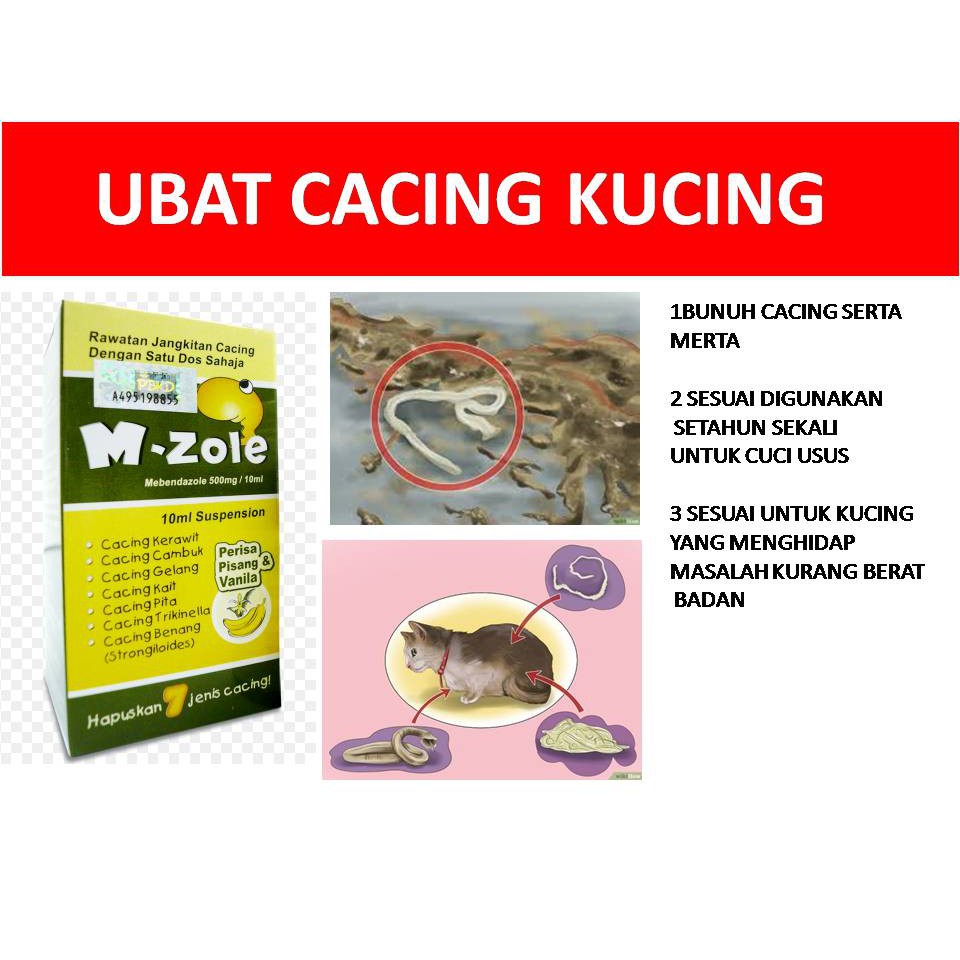 Ubat Cacing Kucing Shopee Malaysia