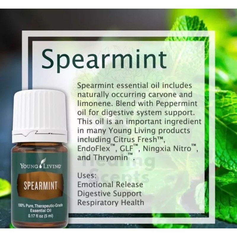 Young Living Spearmint Essential Oil Singles 5ml Shopee Malaysia